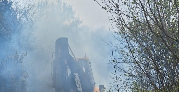 Türkiye’nin Yalova ilinde ormanlık alanda yangın…