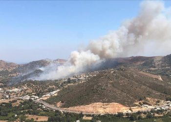 Türkiye’nin Aydın ilinde orman yangını…