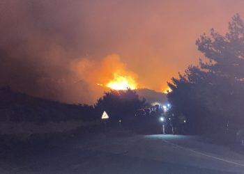 Ormanlar için 125 kişilik yangın hazır kuvvet ekibi kuruluyor