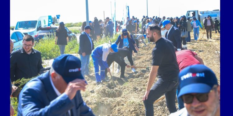 Creditwest Bank, Alpet ve DBÜ fidan dikme etkinliği düzenledi