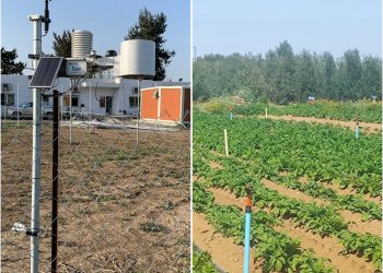 Tarımsal üretimde erken uyarı sistemi hayata geçirildi