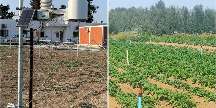 Tarımsal üretimde erken uyarı sistemi hayata geçirildi