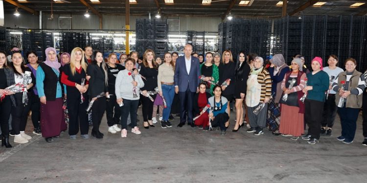 Cumhurbaşkanı Tatar, Güzelyurt Bölgesi’nde narenciye paketleme tesislerini ziyaret etti