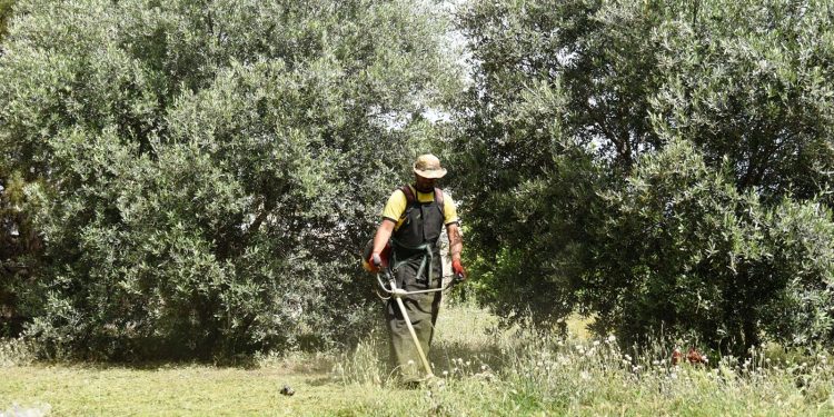 LTB’den bölgesel temizlik öncesi arsa ve arazi sahiplerine çağrı