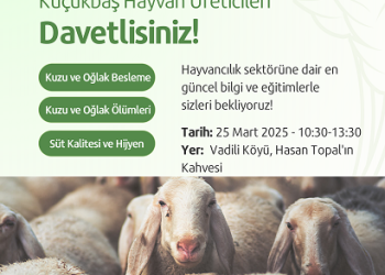 Vadili’de küçükbaş hayvan yetiştiricilerine yönelik eğitim