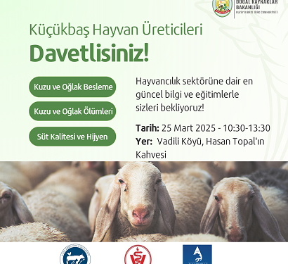 Vadili’de küçükbaş hayvan yetiştiricilerine yönelik eğitim