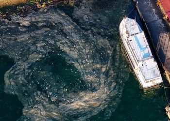 Müsilaj, Marmara Denizi’nde dipte yoğunlaşıyor