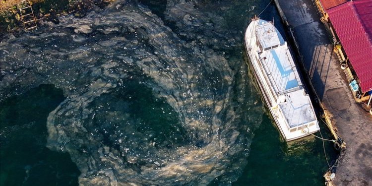 Müsilaj, Marmara Denizi’nde dipte yoğunlaşıyor