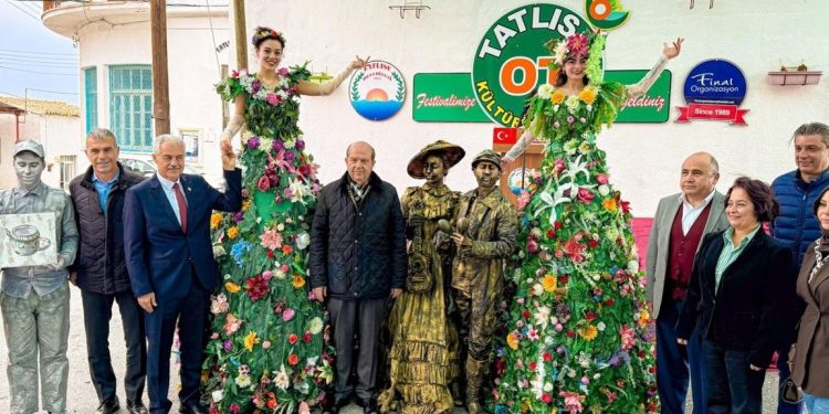 9. Tatlısu Ot Kültür Festivali yapılıyor