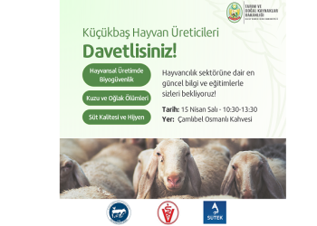 Küçükbaş hayvan üreticilerine yönelik eğitim programı