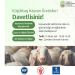 Küçükbaş hayvan üreticilerine yönelik eğitim programı