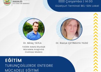Turunçgil üreticilerine “Entegre Mücadele Eğitimi” verilecek