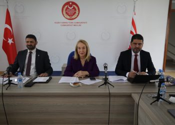 “Sosyal Hizmetler Dairesi Yasa Tasarısı” komitede görüşülüyor