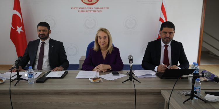 “Sosyal Hizmetler Dairesi Yasa Tasarısı” komitede görüşülüyor