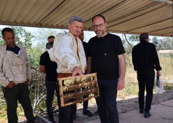 Ülkede ilk ana arılar üretildi