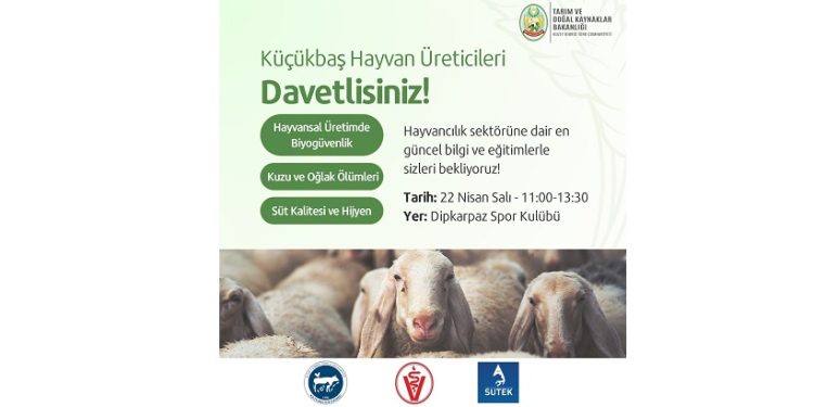 Dipkarpaz’da küçükbaş hayvan üreticilerine yönelik eğitim düzenleniyor
