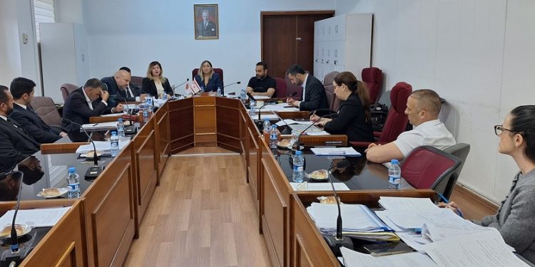 Meclis Komitesinde 1 Yasa Tasarısı, 2 de Yasa Önerisi görüşüldü