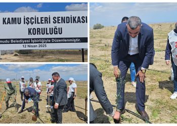 Çayönü köyünde “Kamu İş Koruluğu” oluşturuldu