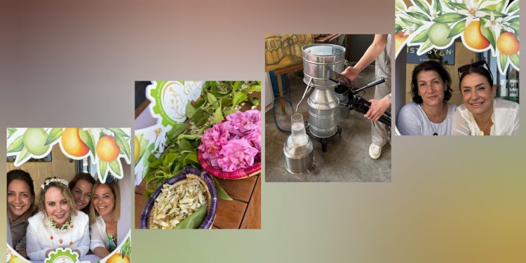 Turunç Çiçeği Festivali renk cümbüşüyle kutlandı