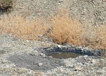 Lefke Çevre ve Ekoloji Derneği’nden lağım suları sorununa kalıcı çözüm çağrısı