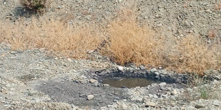 Lefke Çevre ve Ekoloji Derneği’nden lağım suları sorununa kalıcı çözüm çağrısı