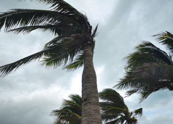 Meteoroloji, karada fırtınamsı rüzgâr uyarısında bulundu