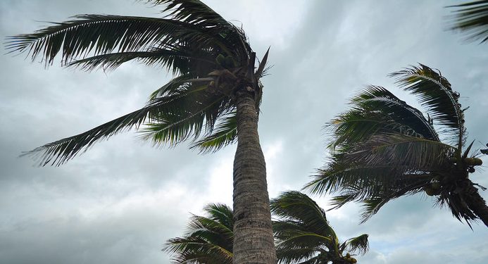 Meteoroloji, karada fırtınamsı rüzgâr uyarısında bulundu