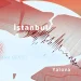 İstanbul il genelinde 2 gün okullar tatil edildi