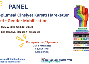 İnsan Hakları Platformu, “Toplumsal Cinsiyet Karşıtı Hareketler” paneli düzenliyor