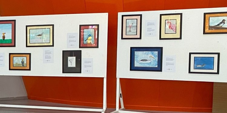 “Kıbrıs’taki Kuşlar” resim sergisi Ercan Havalimanı’nda açıldı