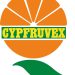 Cypfruvex ödeme takvimini açıkladı