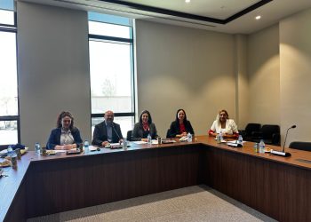 Ülkedeki yükseköğretim kurumlarının araştırılmasına ilişkin komite toplandı