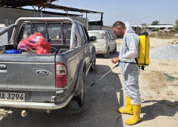 Veteriner Dairesi’nin koyun keçi çiçek hastalığına karşı aşılama çalışmaları sürüyor