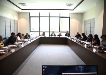 Cumhuriyet Meclisi, İdari, Kamu ve Sağlık İşleri Komitesi toplandı