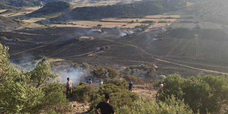 Avtepe-Kuruova arasındaki yangında 400 dönüm arazi zarar gördü