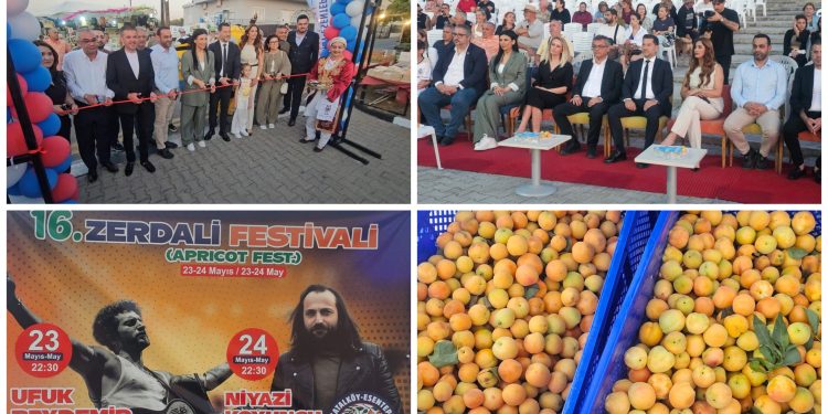 16. Zerdali Festivali  başladı