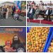 16. Zerdali Festivali  başladı