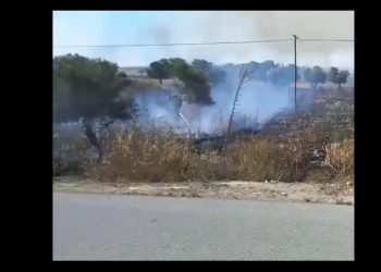 Avtepe-Kuruova arasında yangın