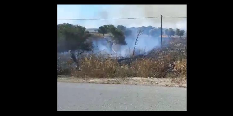 Avtepe-Kuruova arasında yangın