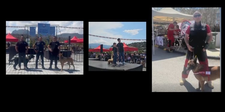 Çatalköy-Esentepe Belediyesi evcil hayvan festivali düzenledi