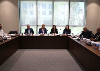 Ekonomi, Maliye, Bütçe ve Plan Komitesi bugün sigorta yasa tasarılarını görüştü