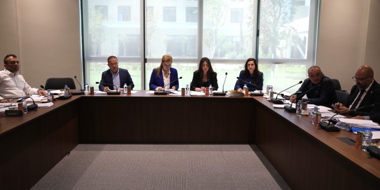 Ekonomi, Maliye, Bütçe ve Plan Komitesi bugün sigorta yasa tasarılarını görüştü