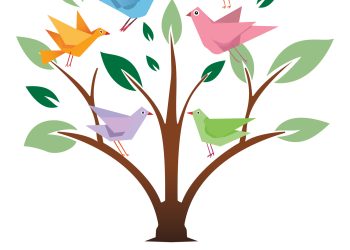 2004’ü anlatan “Annan Planı ve Kıbrıs” belgeselinin ilk gösterimi yarın akşam