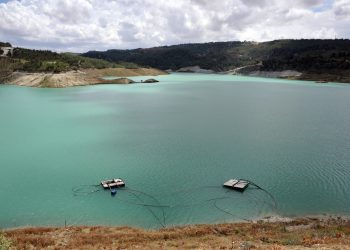 Narenciye Üreticiler Birliği’nden su dağıtımında adalet ve planlama çağrısı