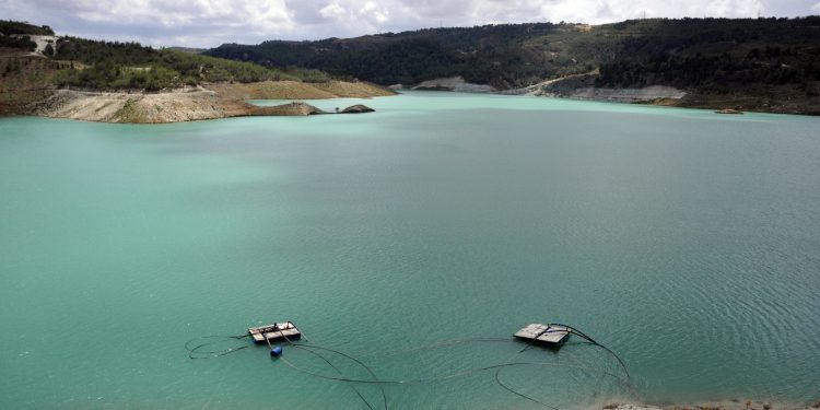 Narenciye Üreticiler Birliği’nden su dağıtımında adalet ve planlama çağrısı