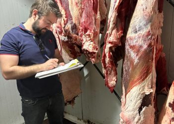 Veteriner Dairesi, hijyen ve ithalat denetimlerini sürdürüyor
