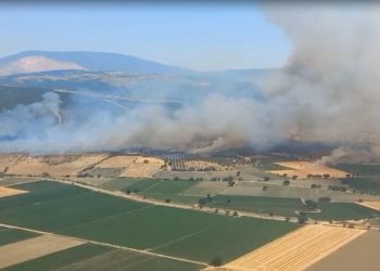 İzmir’de orman yangını