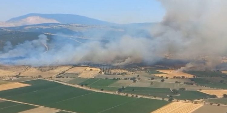 İzmir’de orman yangını