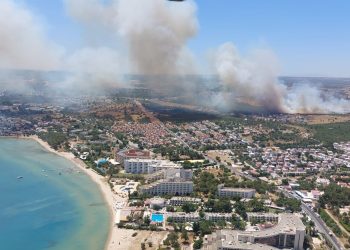 Aydın’ın Didim ilçesinde makilik alanda yangın