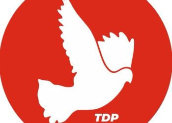 TDP: “TMK’ya yeterli bütçenin ayrılması için tedbir alması gerek”